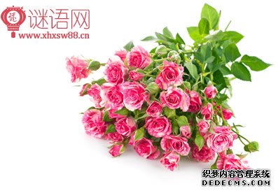 关于鲜花的广告语