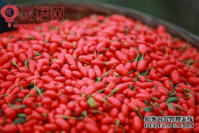 ������轹���
