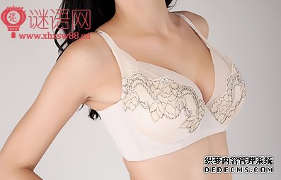 健康文胸广告语大全经典版