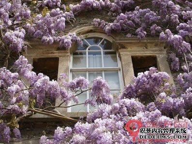 房地产广告语搞笑大全