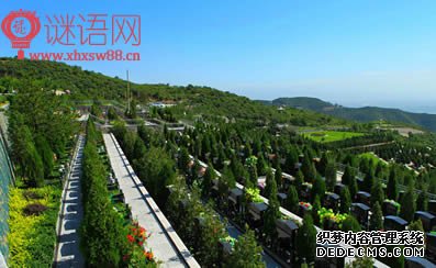 墓地广告词