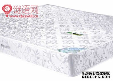 ���洲������