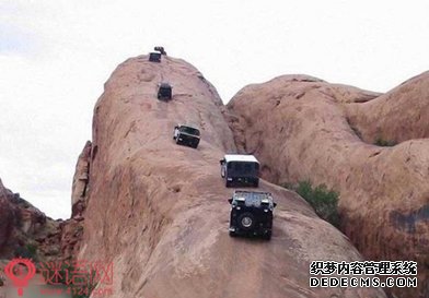 驾校雷人广告语