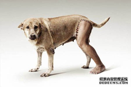 ����200,000ֻ�˲еĶ�����̩����Ҫ��İ���