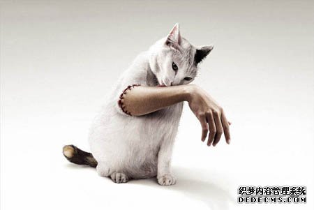����200,000ֻ�˲еĶ�����̩����Ҫ��İ���