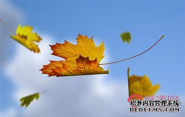 ���¹�ȥ ���Ĺ���