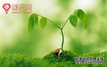留得青山在,也怕没柴烧