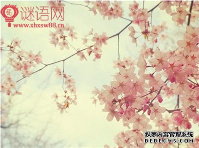 �һ��˾��䰮����¼