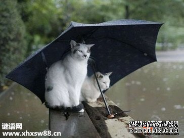 qq爱情语录