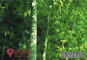 多少人 没熬过那三厘米