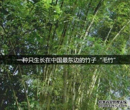 多少人,没熬过那三厘米