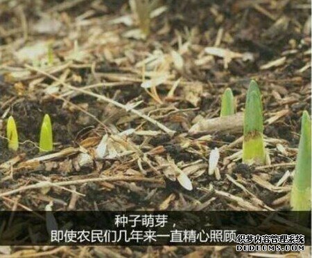 多少人,没熬过那三厘米