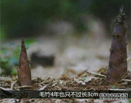 多少人,没熬过那三厘米