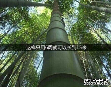 多少人,没熬过那三厘米