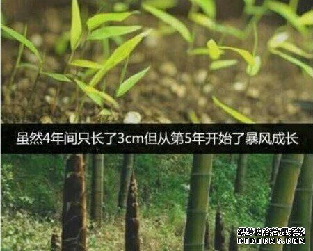 多少人,没熬过那三厘米