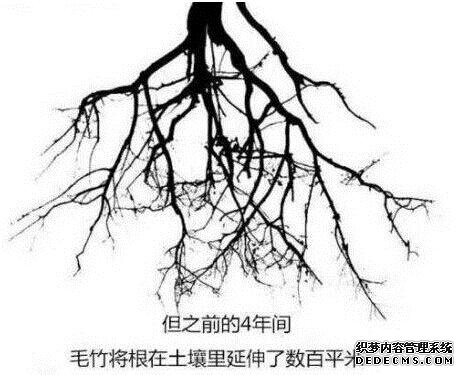 多少人,没熬过那三厘米