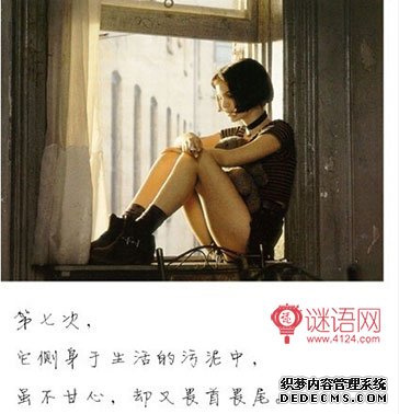 我的心曾悲伤七次
