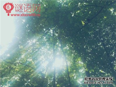 明人不说暗话