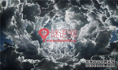 笨鸟先飞