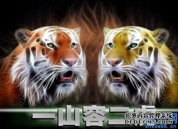 一山可容二虎