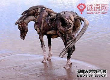 朽木可雕