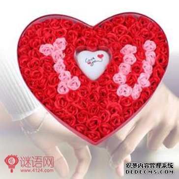春节表白短信