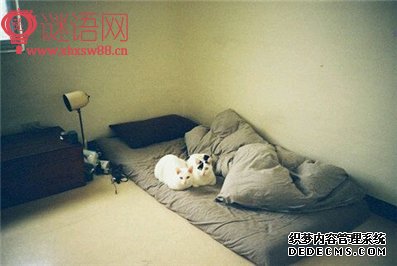 ������¼�̾�����