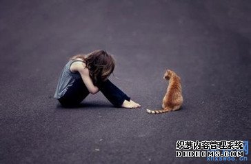 �˸�ʧ�䰮����¼