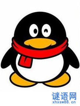 qq������¼