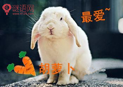 搞笑爱情宣言经典语录