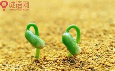 心灵鸡汤经典语录集锦