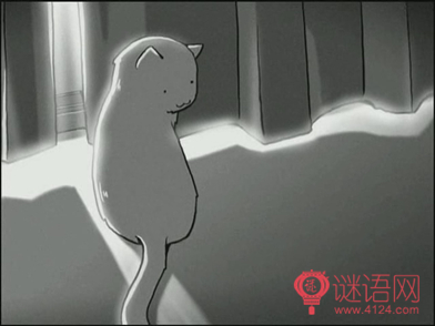 她和她的猫台词