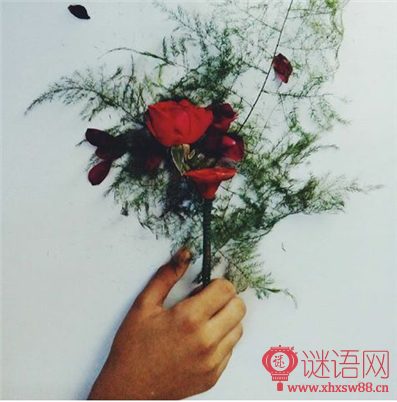 真爱经典语录