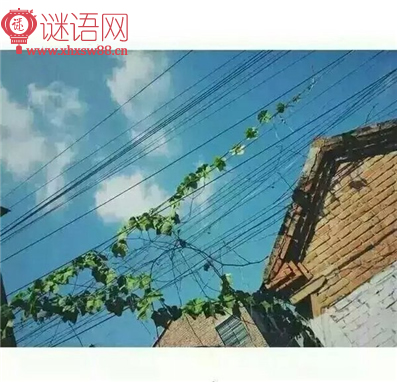 ���ڳ��ǵ���������Щ