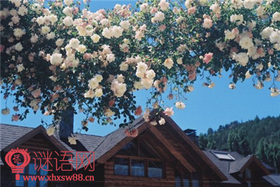 �ഺ���о�����¼