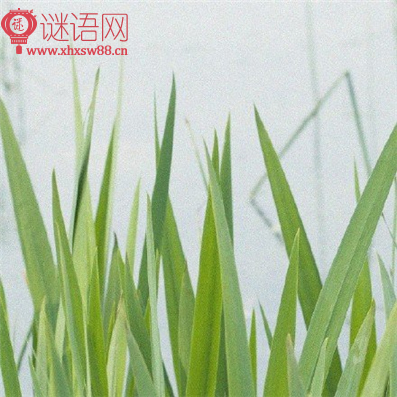 2016�궬��������¼