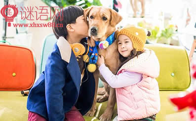 神犬小七经典台词