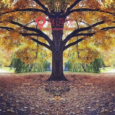 二十个名人谚语