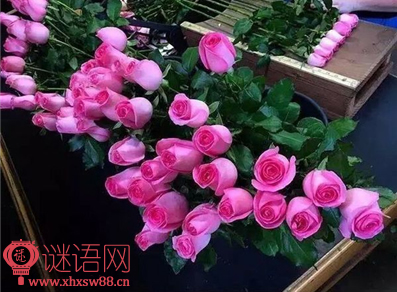 中国经典谚语