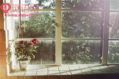 珍惜时间的名言谚语