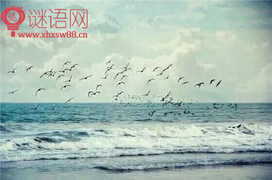 关于家庭的名言谚语