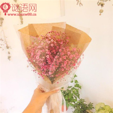 情感谚语