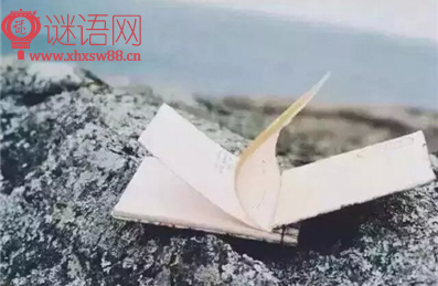关于谦虚的谚语