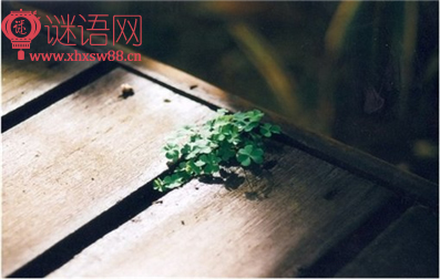 有关做人的谚语