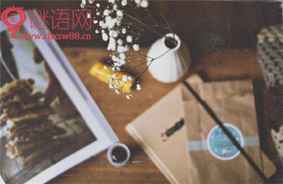 �Ž������������꼶