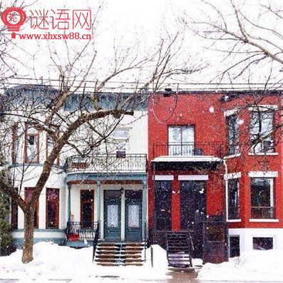 关于团结友爱的谚语