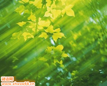 �йش�������Ｏ��