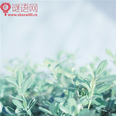 关于春天的谚语有哪些