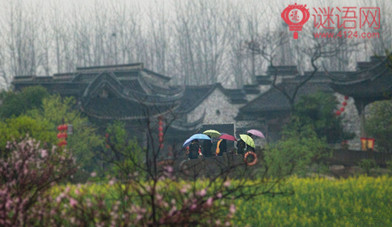 雨水谚语