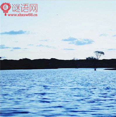 关于天气的动物谚语大全